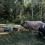 Geofond Chotěboř