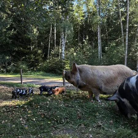 Geofond Chotěboř