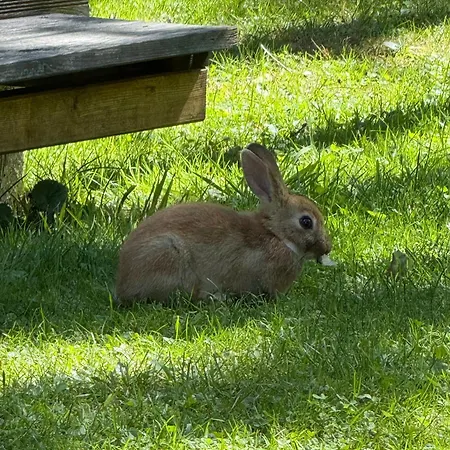 Geofond Kemping Chotěboř