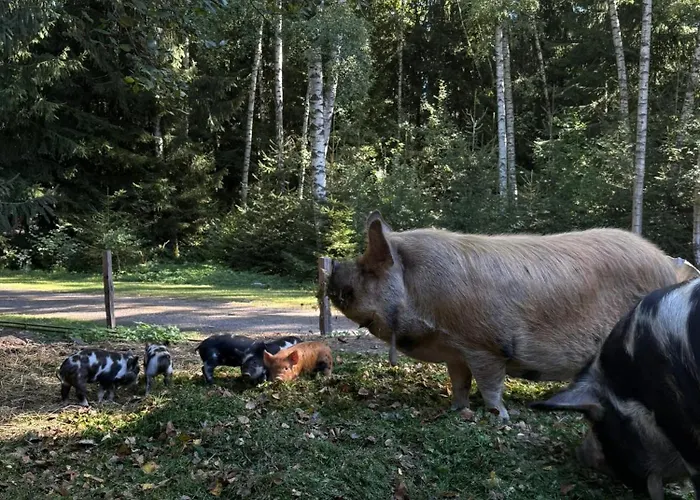 Geofond Chotěboř